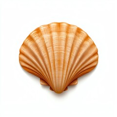 Obraz premium Close-up of a beautiful orange seashell showcasing intricate textures.