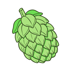 pine cones isolated on white vector art,  flat illustration pine cones isolated on white icon