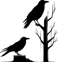 silhouette of a crow