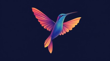 Obraz premium Hummingbird in Flight