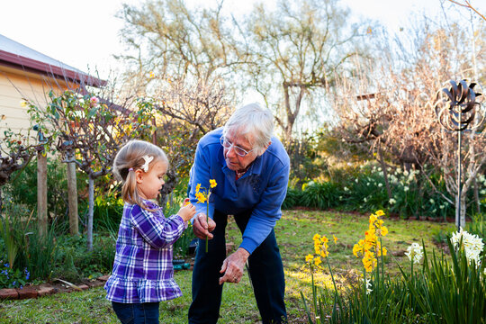 Senior woman with her granddaughter in the garden