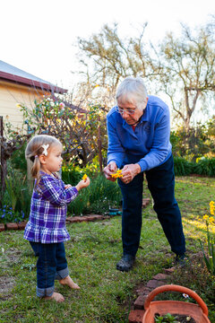 Senior woman with her granddaughter in the garden