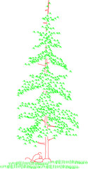 Vector sketch illustration silhouette artistic ethnic tree plant drawing design
