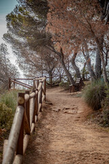 Fototapeta premium Calle Advocat – España