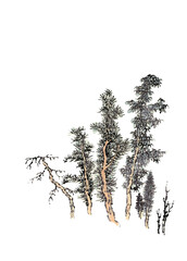 set of trees in Chinese traditional painting style.