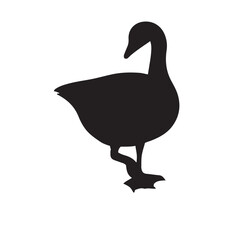 goose isolated on white, Black silhouette of goose. Isolated image of farm bird. Domestic amimal icon. Isolated image