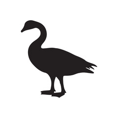 goose isolated on white, Black silhouette of goose. Isolated image of farm bird. Domestic amimal icon. Isolated image