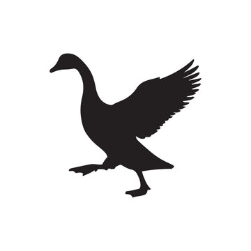 goose isolated on white, Black silhouette of goose. Isolated image of farm bird. Domestic amimal icon. Isolated image