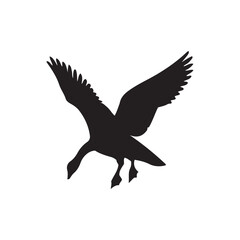 goose isolated on white, Black silhouette of goose. Isolated image of farm bird. Domestic amimal icon. Isolated image