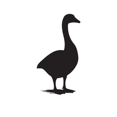 goose isolated on white, Black silhouette of goose. Isolated image of farm bird. Domestic amimal icon. Isolated image