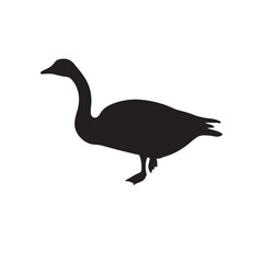 goose isolated on white, Black silhouette of goose. Isolated image of farm bird. Domestic amimal icon. Isolated image