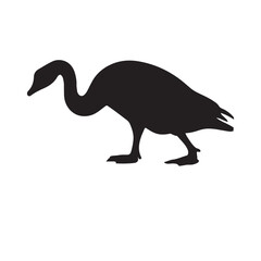 goose isolated on white, Black silhouette of goose. Isolated image of farm bird. Domestic amimal icon. Isolated image