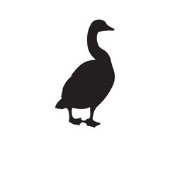 goose isolated on white, Black silhouette of goose. Isolated image of farm bird. Domestic amimal icon. Isolated image