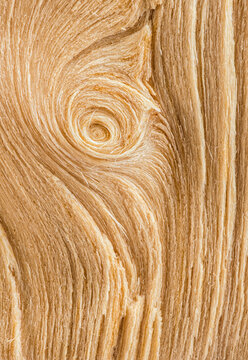 Natural wood texture with swirling patterns and rich grains