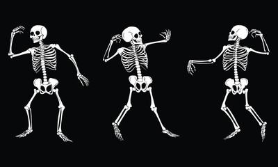 Dancing Skeletons Vector Set – Trio of Fun Halloween Skeleton Poses