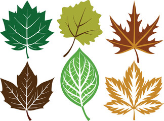 Naklejka premium Vector Silhouette Summer Icon Set of Different Maple Leaves on White Background