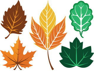 Fototapeta premium Vector Silhouette Summer Icon Set of Different Maple Leaves on White Background