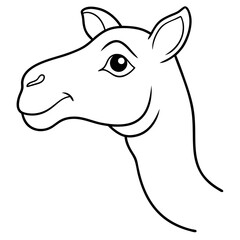 Camel head vector line art illustration