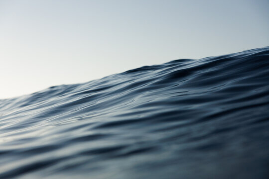 Serene ocean wave with sunlight reflections