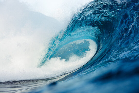 Majestic ocean wave curling with power and grace