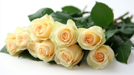 Naklejka premium A bouquet of six cream-colored roses with green leaves lies on a white background.