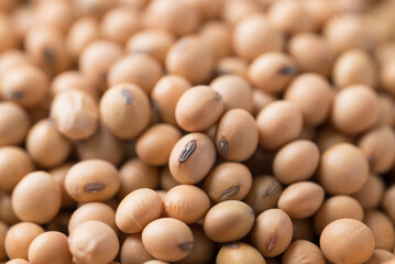 Soy bean seeds texture background, Food ingredient