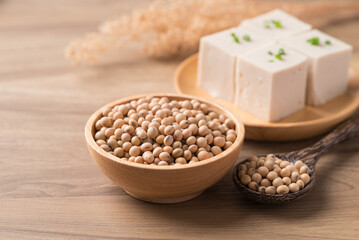 Soy bean seeds and tofu, Vegan food ingredient in Asian cuisine, Plant based diet