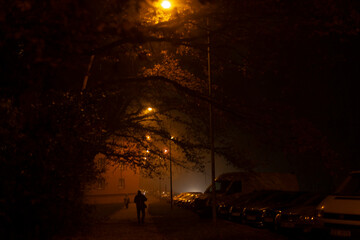 A person leisurely strolls down a misty, softly lit street, surrounded by tall trees and parked...