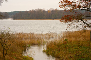 Beautiful lake in autumn, a stream flowing into it