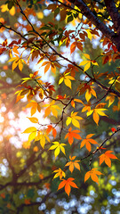 Orange autumn leaves in the sun
