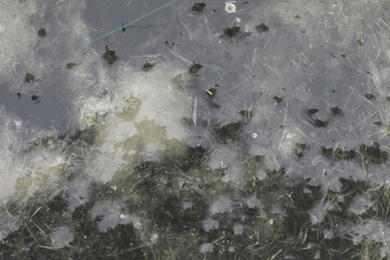 Children ski, sled and fish in the winter lake.