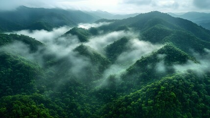 Obraz premium Ethereal mountain landscape with rolling hills shrouded in morning mist, featuring layered mountains and sunlight breaking through dense&nbsp;forest canopy.