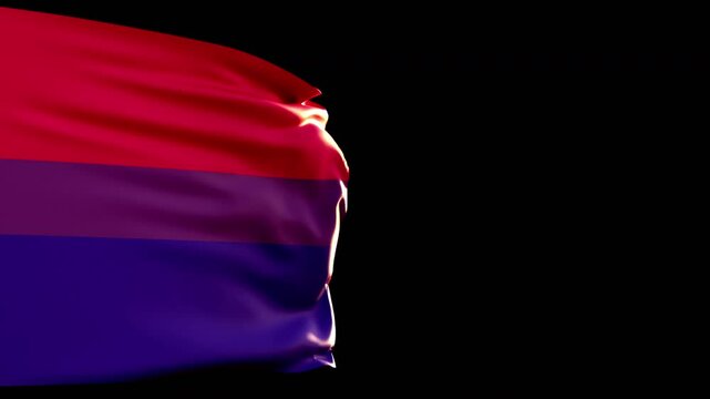 Bisexual flag on transparent background 3d animation alpha channel.