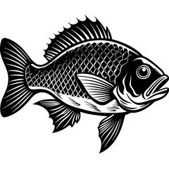 black and white fish