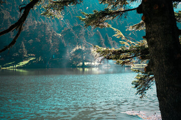 Bolu - Gölcük - Travel - Photography - Fujifilm