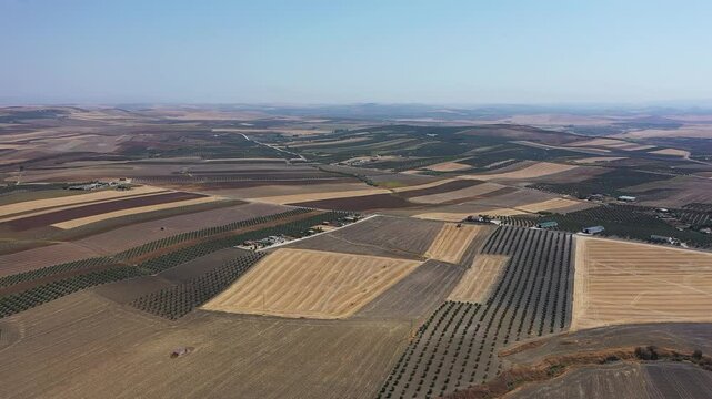 Imagens a&eacute;reas capturadas por drone das terras agr&iacute;colas da Andaluzia, revelando os impactos da escassez de &aacute;gua na regi&atilde;o. O v&iacute;deo ou foto mostra vastas &aacute;reas de campos secos, com solo rachado e cult