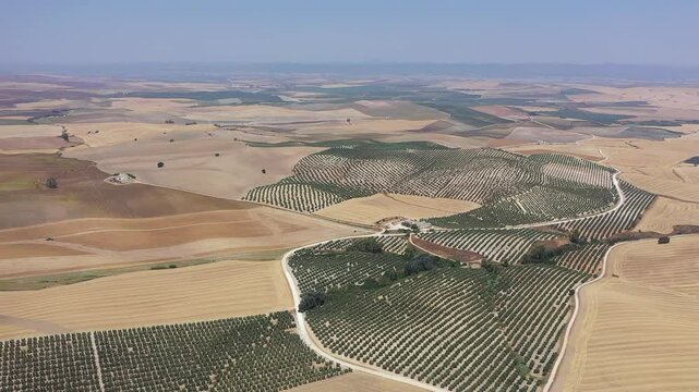 Imagens a&eacute;reas capturadas por drone das terras agr&iacute;colas da Andaluzia, revelando os impactos da escassez de &aacute;gua na regi&atilde;o. O v&iacute;deo ou foto mostra vastas &aacute;reas de campos secos, com solo rachado e cult