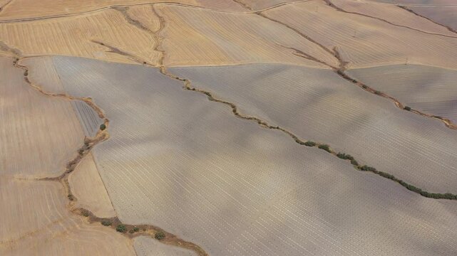 Imagens a&eacute;reas capturadas por drone das terras agr&iacute;colas da Andaluzia, revelando os impactos da escassez de &aacute;gua na regi&atilde;o. O v&iacute;deo ou foto mostra vastas &aacute;reas de campos secos, com solo rachado e cult