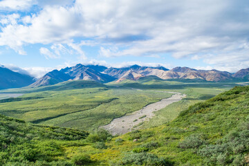 Obraz premium Beautiful, green valley with river bed and stunning Multi Coloured mountain range in the background on a beautiful, blue sky summer day, in Denali National Park, Alaska. Beautiful Alaska Landscapes