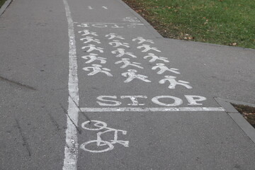 view of the empty road scene, highway in the city, trees and bushes, curb stone and white road markings, minimalism in the city.