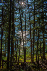 Obraz premium Sunset over shimmering lake