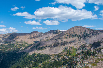 Naklejka premium Targhee National Forest from Table Mountain