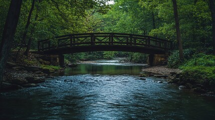 Fototapeta premium A wooden bridge spans a tranquil creek in a lush forest.