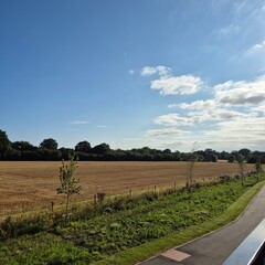 landscape with a field