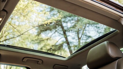 Fototapeta premium Sunroof view from inside a car with trees and sky visible above.