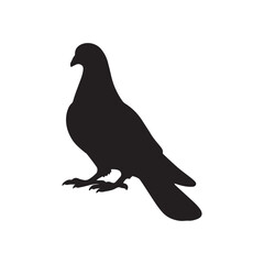 illustration of a pigeon silhouette vector art Illustration, Beautiful bird pigeon silhouette black icon vector art illustration