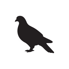 illustration of a pigeon silhouette vector art Illustration, Beautiful bird pigeon silhouette black icon vector art illustration