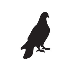 Fototapeta premium illustration of a pigeon silhouette vector art Illustration, Beautiful bird pigeon silhouette black icon vector art illustration