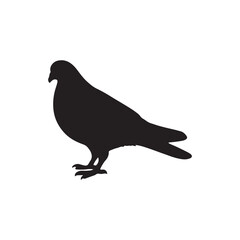 illustration of a pigeon silhouette vector art Illustration, Beautiful bird pigeon silhouette black icon vector art illustration