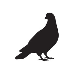 illustration of a pigeon silhouette vector art Illustration, Beautiful bird pigeon silhouette black icon vector art illustration